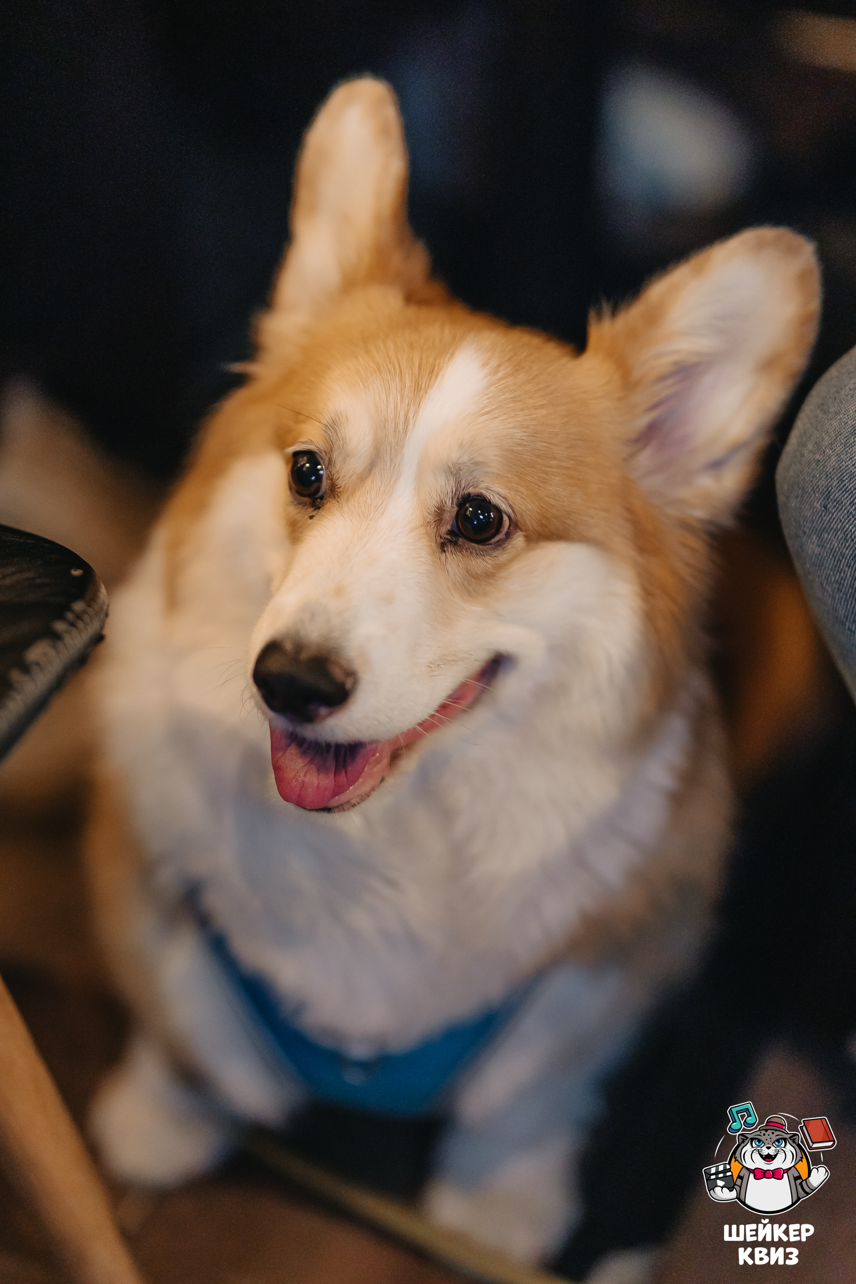 Превью к фотоальбому ЧИСТО ПОПЕТЬ [10-Е. РУССКОЕ] #3.1 (07.11.2025) 22:00 Travel