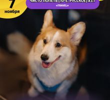 Превью к фотоальбому ЧИСТО ПОПЕТЬ [10-Е. РУССКОЕ] #3.1 (07.11.2025) 22:00 Travel