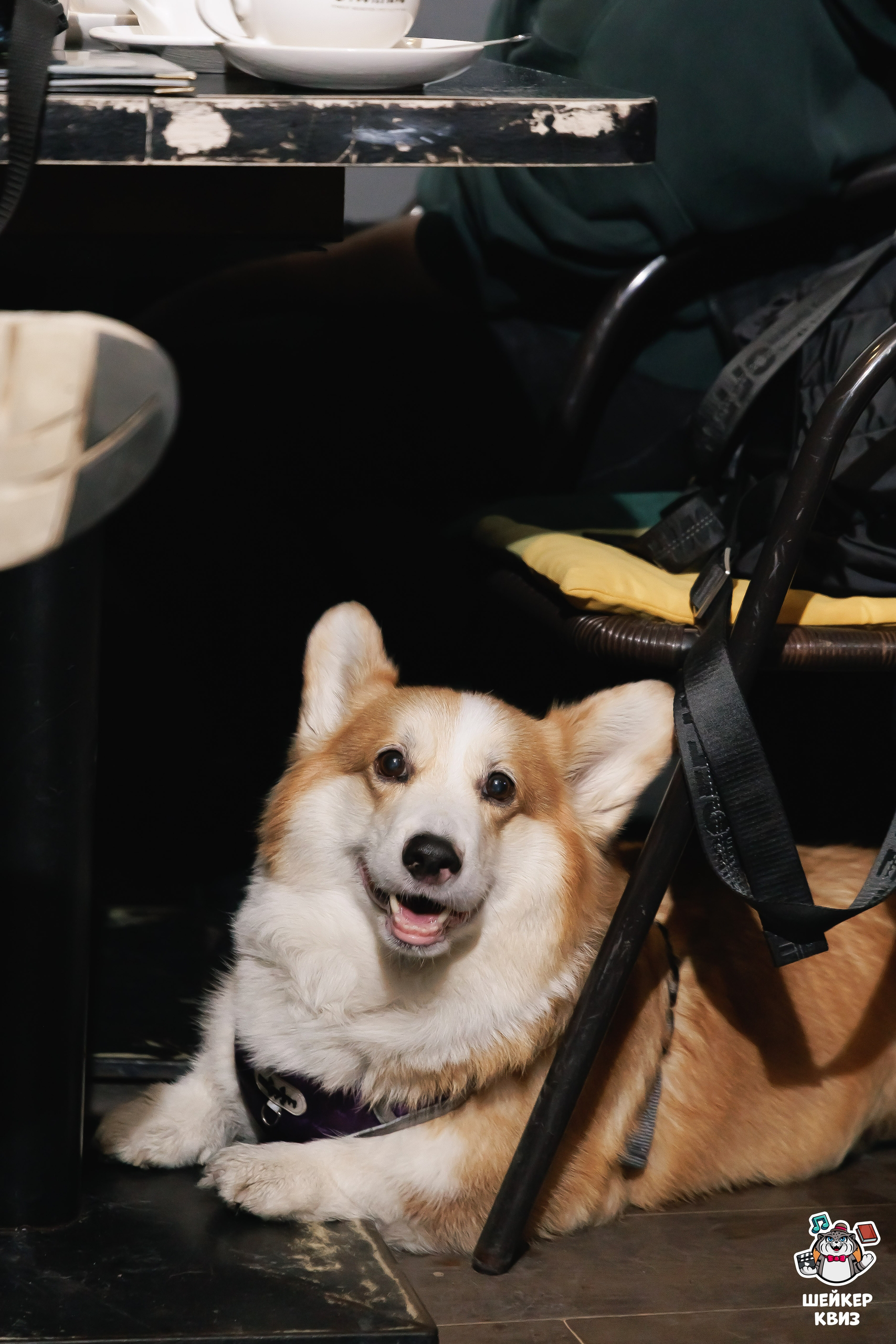 Превью к фотоальбому ОБОВСЁМ [СУПЕРЛАЙТ. 100 ВОПРОСОВ] #35.2 [ПОВТОР ОТ 3 АПРЕЛЯ] (10.04.2026) 19:00 Travel